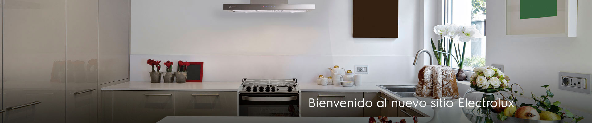 Banner TV
